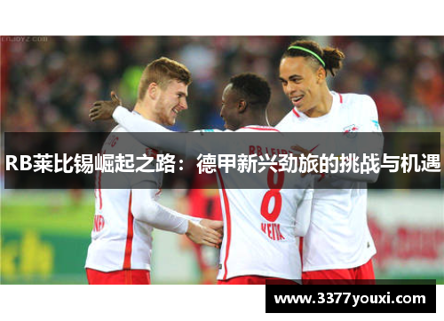 RB莱比锡崛起之路：德甲新兴劲旅的挑战与机遇