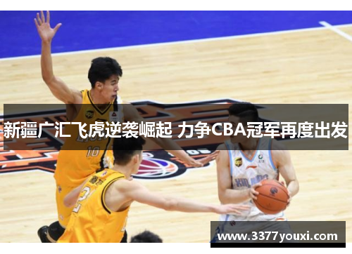 新疆广汇飞虎逆袭崛起 力争CBA冠军再度出发