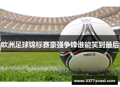 欧洲足球锦标赛豪强争锋谁能笑到最后
