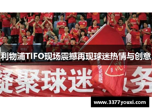 利物浦TIFO现场震撼再现球迷热情与创意